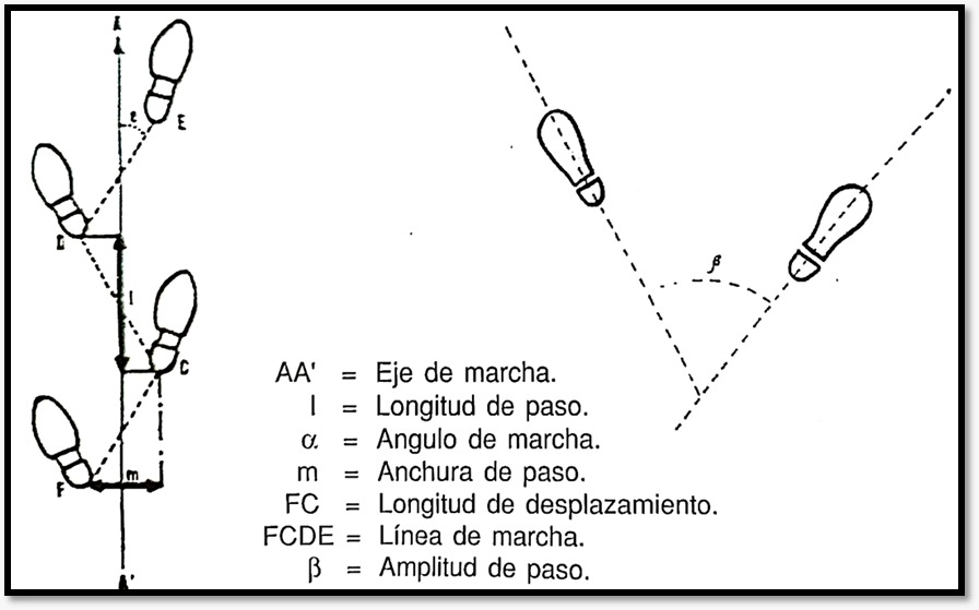 WhatsApp Image 2024-08-27 at 1.57.08 PM (1)