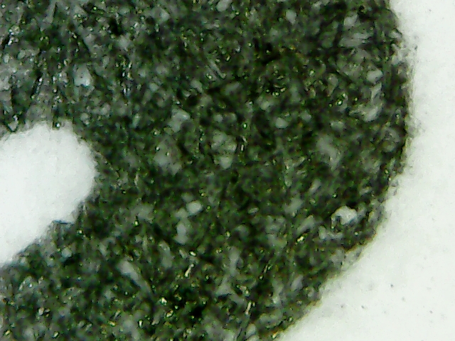 WhatsApp Image 2024-08-28 at 2.31.24 PM (1)