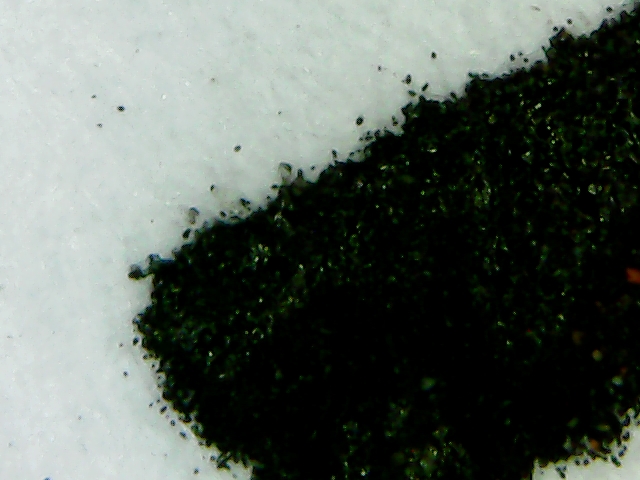 WhatsApp Image 2024-08-28 at 2.31.24 PM